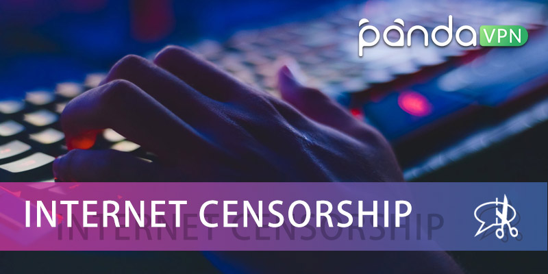 Internet Censorship: A Game Between Online Restriction and Freedom